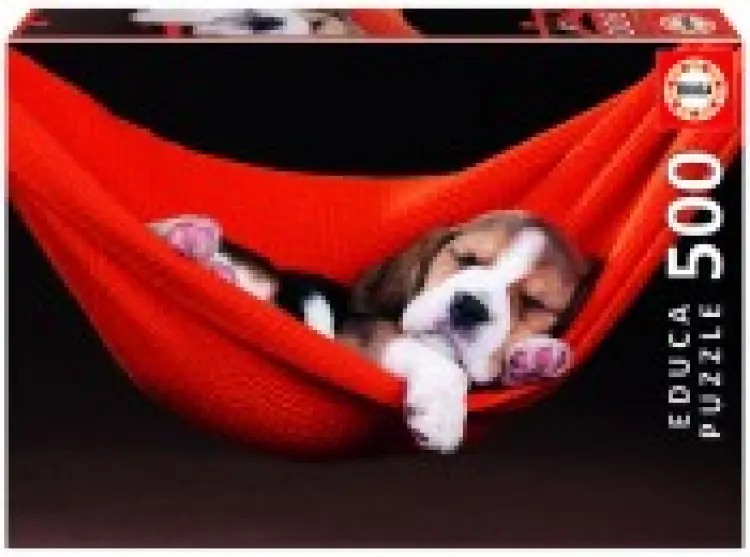 Slapen in een Hangmat (500)